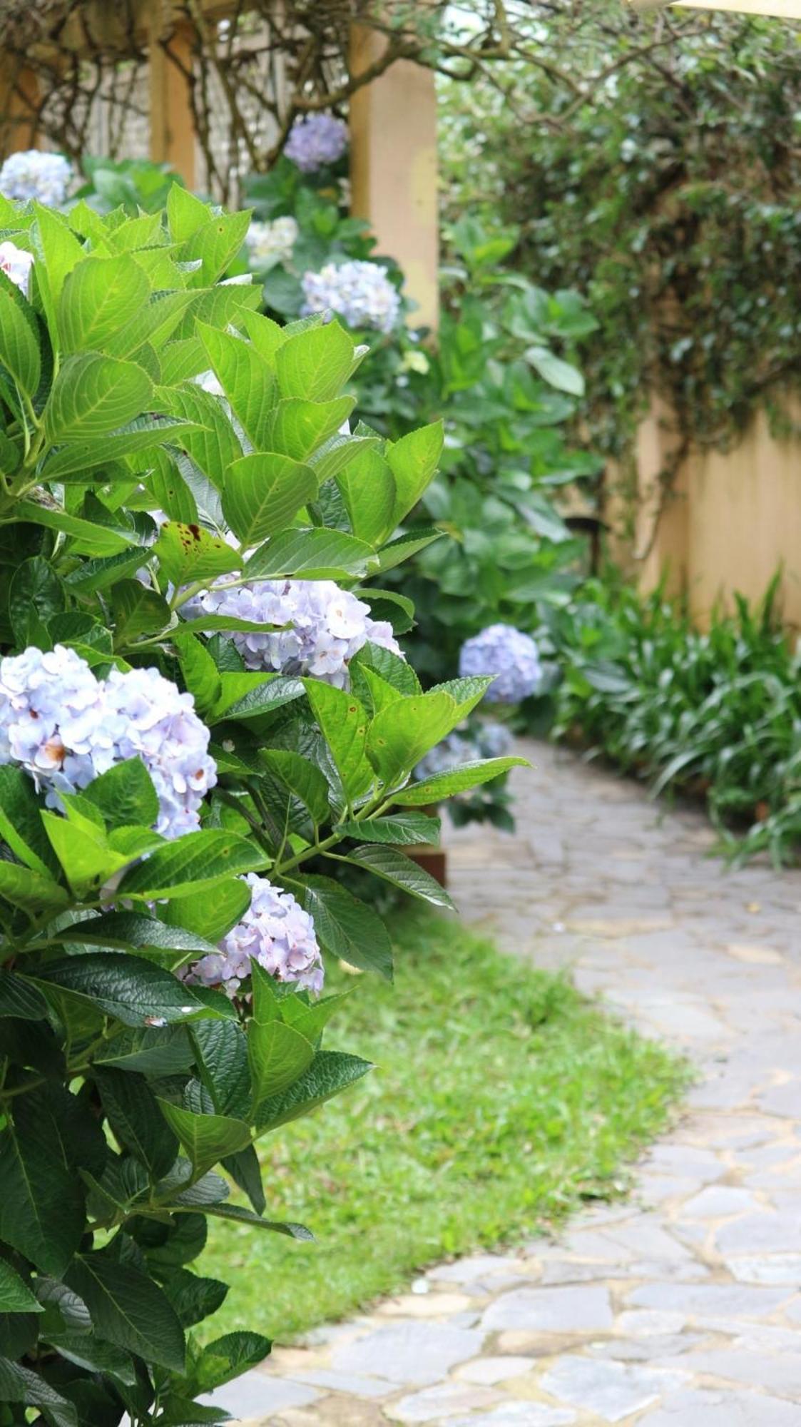 Готель Bich Dao Boutique - Dalat Екстер'єр фото
