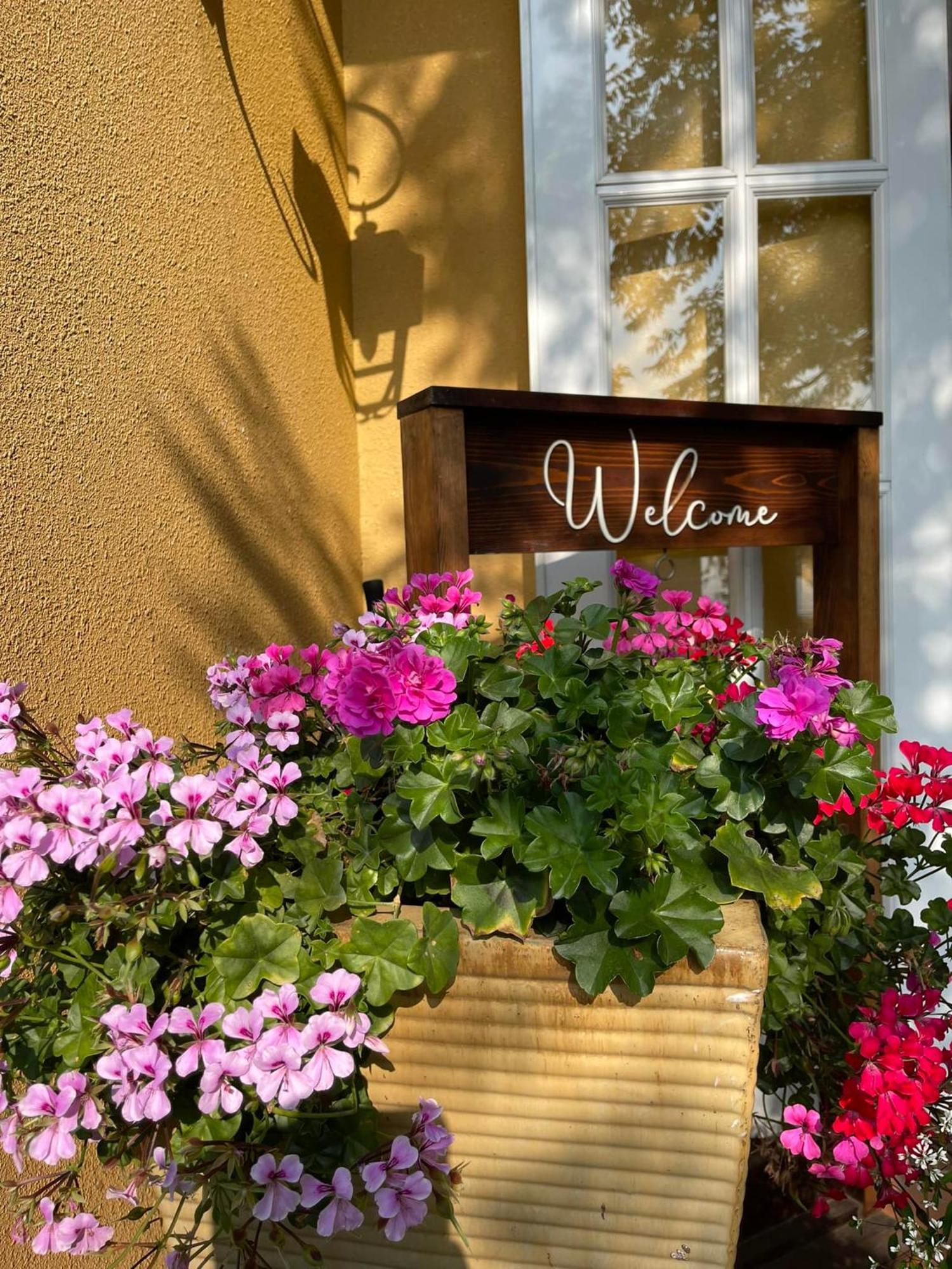 Готель Bich Dao Boutique - Dalat Екстер'єр фото