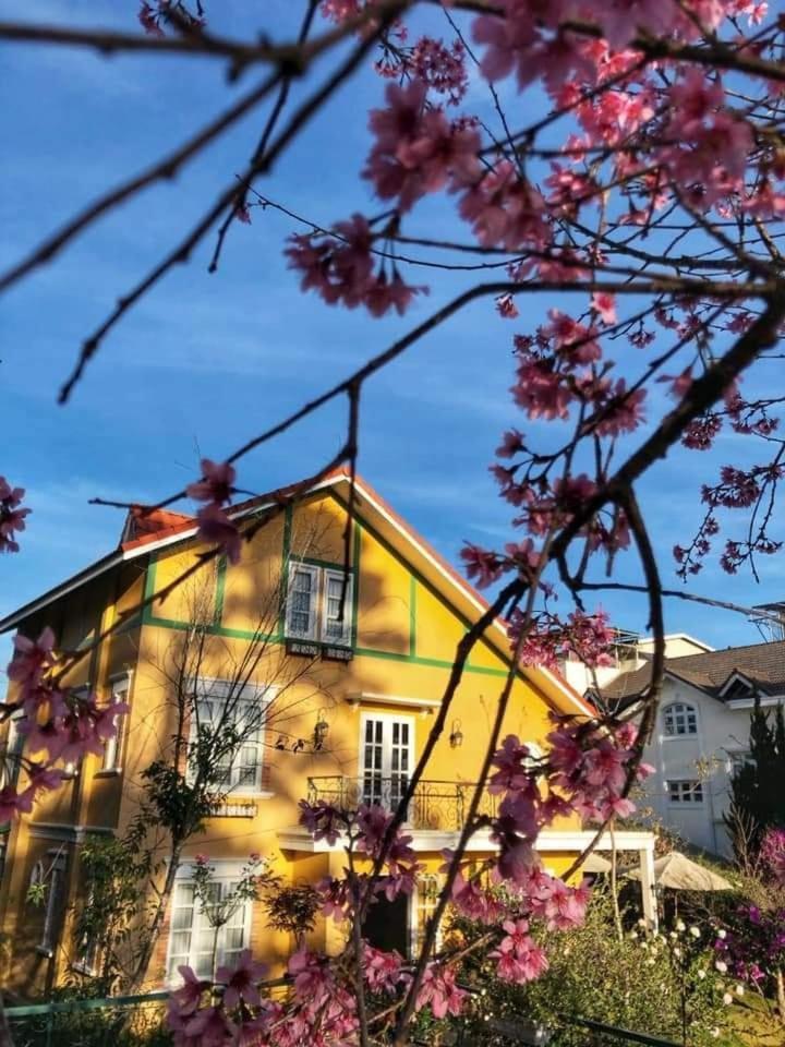 Готель Bich Dao Boutique - Dalat Екстер'єр фото