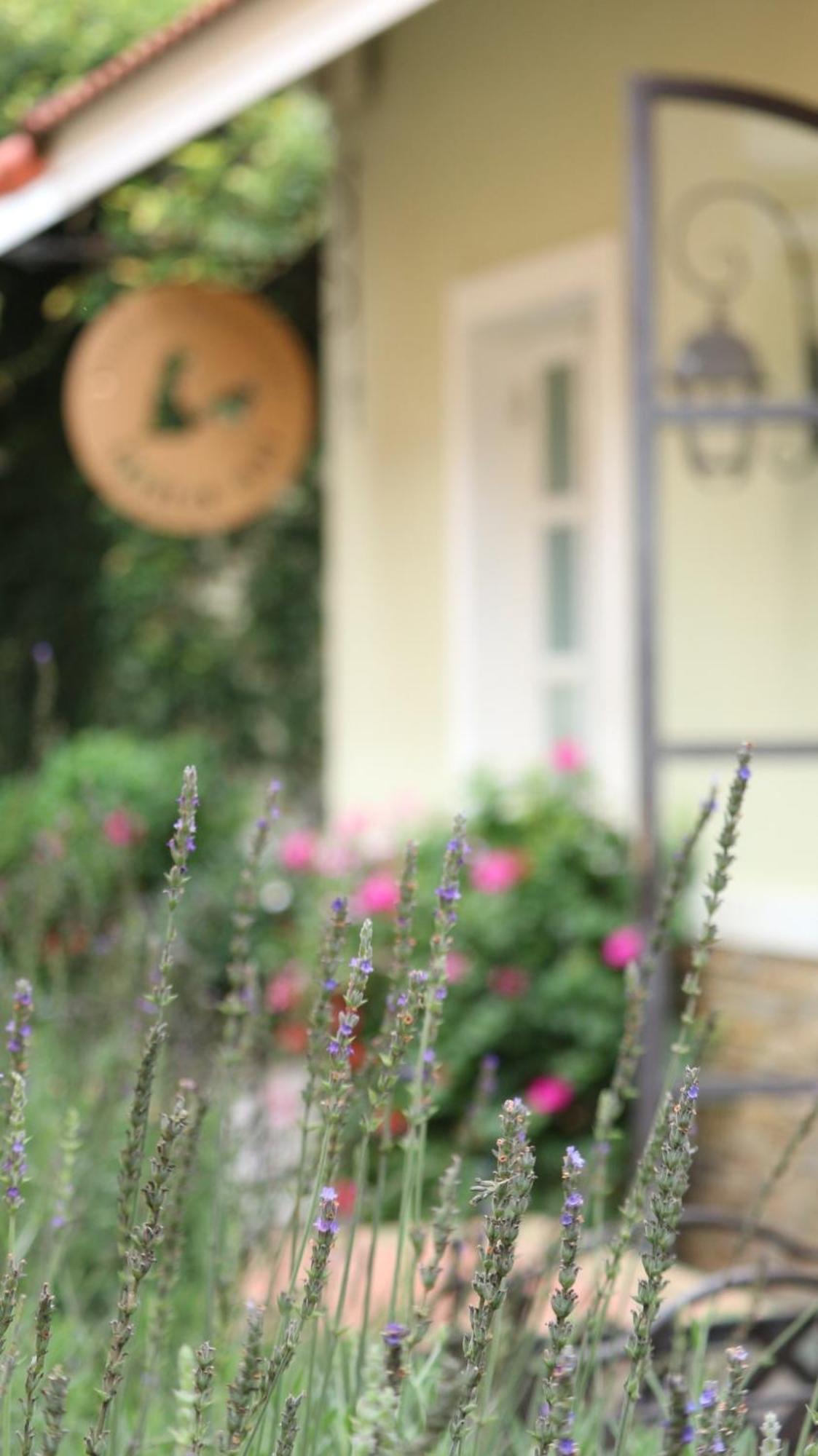 Готель Bich Dao Boutique - Dalat Екстер'єр фото