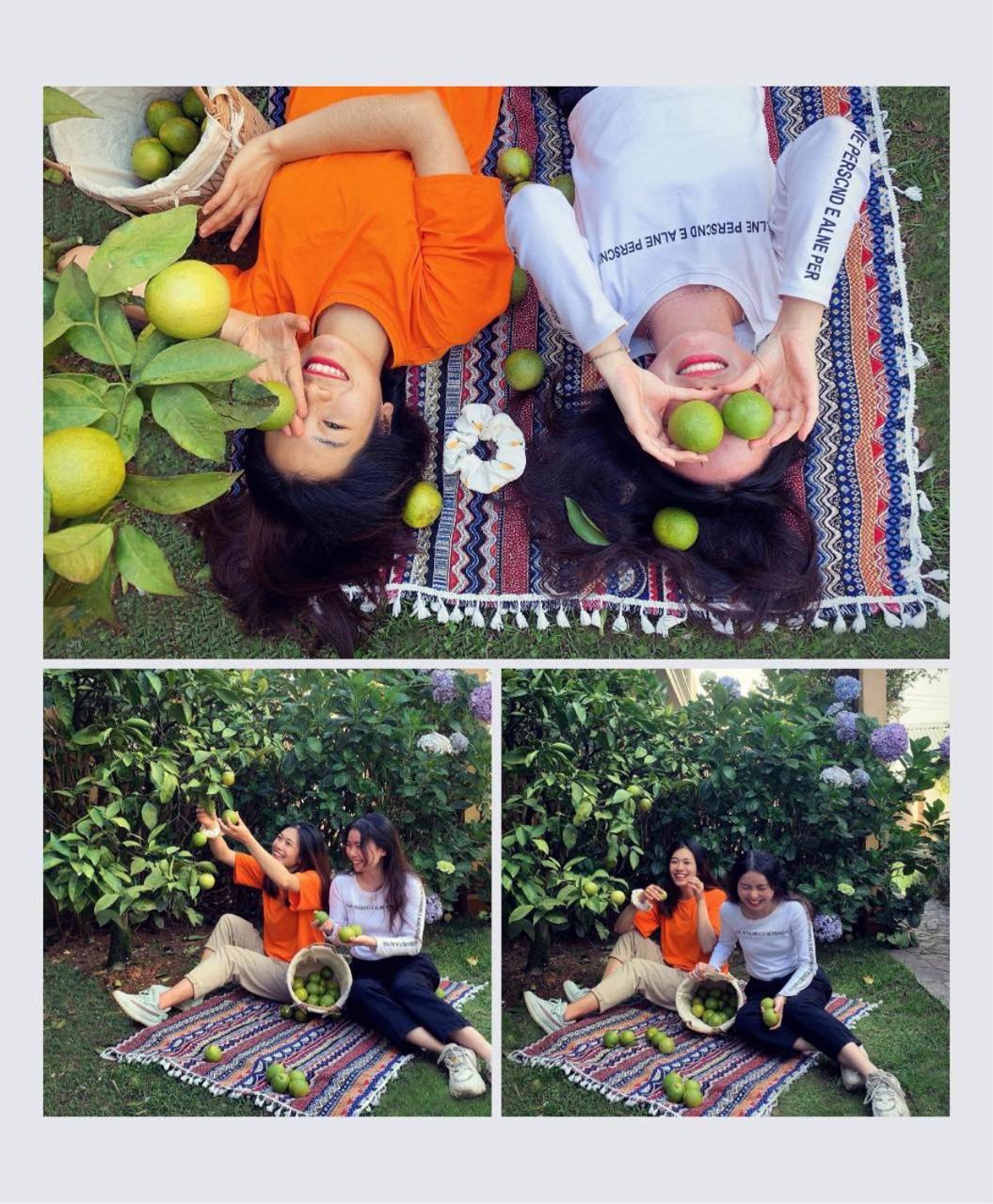 Готель Bich Dao Boutique - Dalat Екстер'єр фото