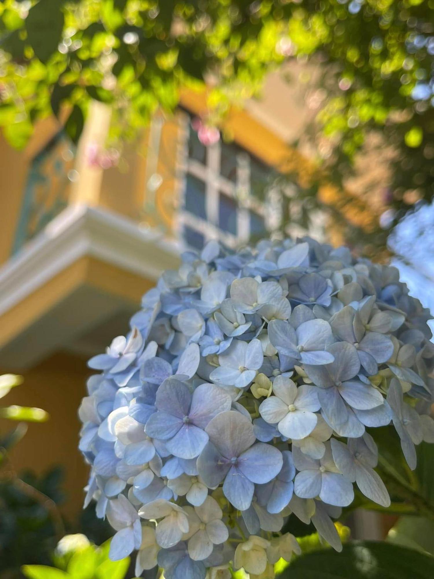 Готель Bich Dao Boutique - Dalat Екстер'єр фото